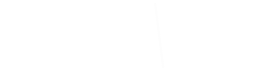BAUMANN LEGAL